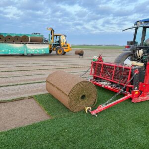 Rolă gazon - imagine 1