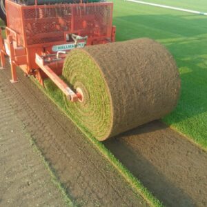 Rolă gazon - imagine 1