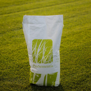 Semințe gazon Standard Sport Mix PS-42 - imagine 1